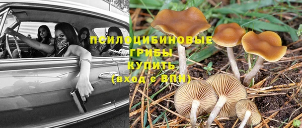гидропоника Алзамай