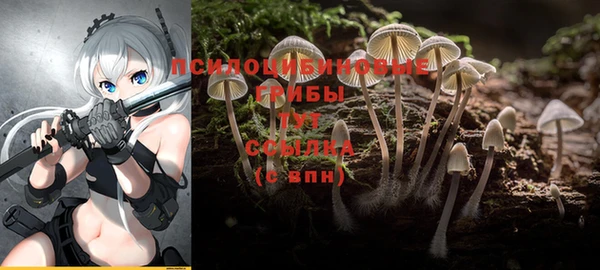 Альфа ПВП Абдулино
